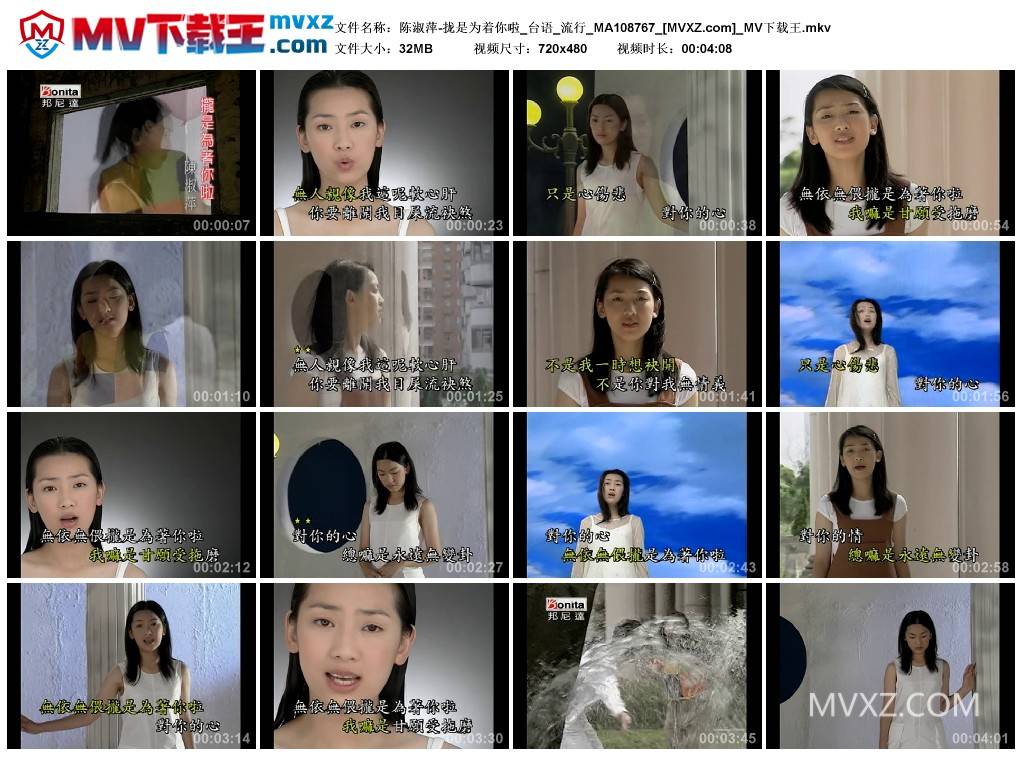 陈淑萍-拢是为着你啦_台语_流行_MA108767